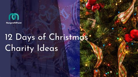 12 days of christmas charity ideas